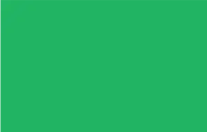 Green curtains from The White Window