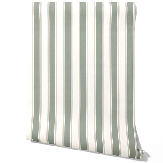 Geometric Striped Traditional Wallpaper Sample (Gray-Green)