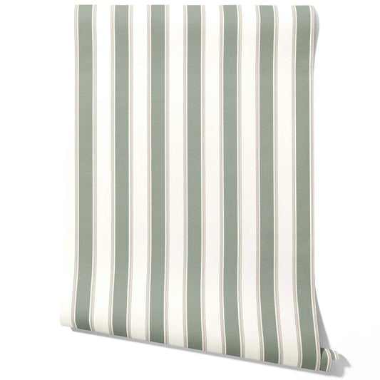 Geometric Striped Traditional Wallpaper Sample (Gray-Green)
