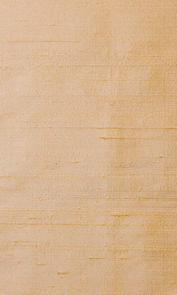Dupioni Silk Home Textile Fabric Material Sample (Golden Beige)